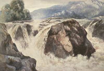 A Waterfall by Sheldon Burrows Adams